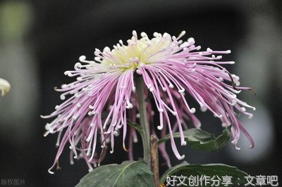 与人相处，我们都要学会闭嘴