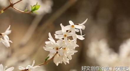 真心相爱的人，从不会轻易错过