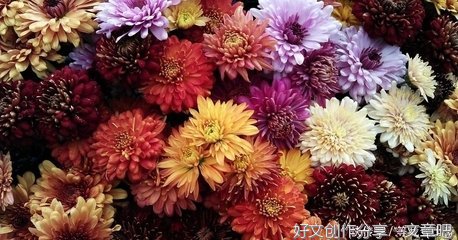 做人，我们都要少生气