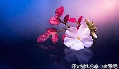 当你具有了这三个品质，你的福气自来