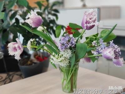第一次去男友家，亲眼目睹了准公婆的相处方式，我选择及时止损