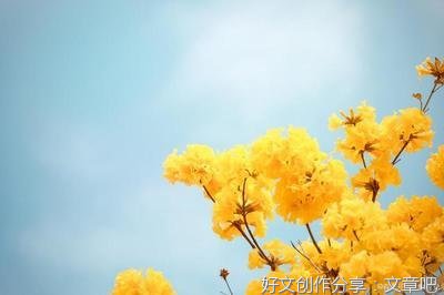 尽量避免消耗自己的人生，轻松一点才会活得快乐