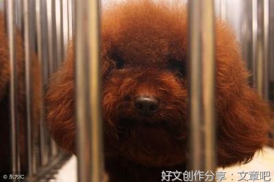 感情中，有些错坚决不能犯