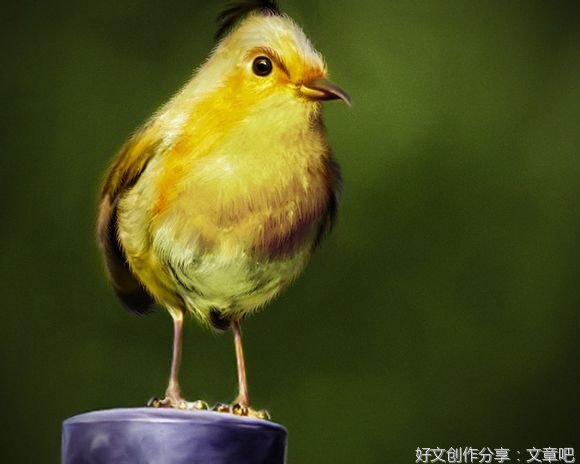 有福之女不入无福之家，无缘的人，别再强求了