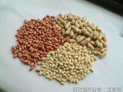 食物里的记忆