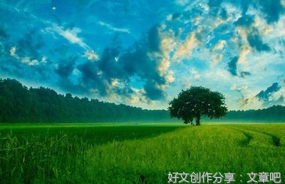 女人保持“高姿态”，更容易抓牢男人的心