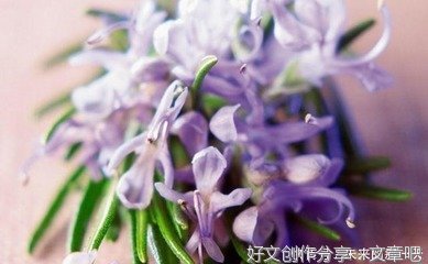 毕竟世事无常，人生没有确定性