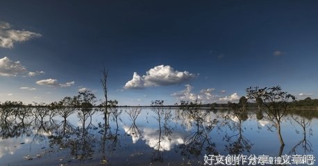 拥有“桃花运”的女人，身上往往有这4个特质