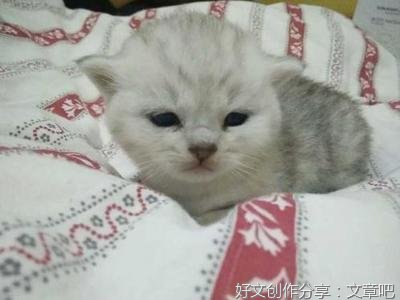 拉黑自己喜欢的人，原因只有一个
