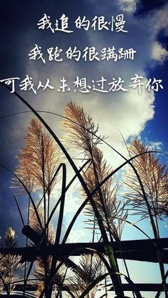 如果有一天你不再爱我了
