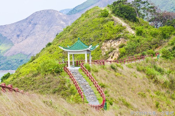 山韭韭那个花