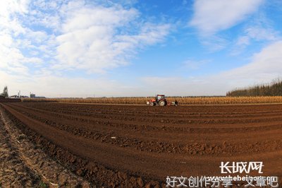 河北：置身新发展格局 让数字经济成为高质量发展“加速器”