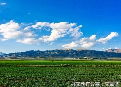 让每个选择都有光芒（师说）