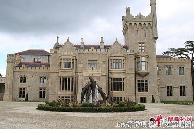 从来没有放弃过自由