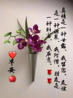 平凡生活不攀比