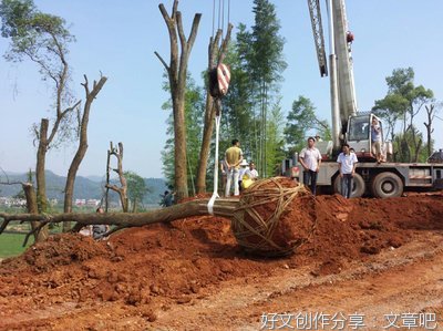 提高桥涵台背回填质量