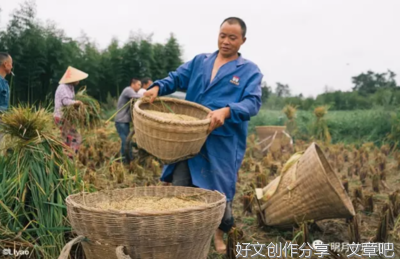 月是故乡明， 心安是归途 ——孟晚舟2021 年9 月25 日于归国飞机