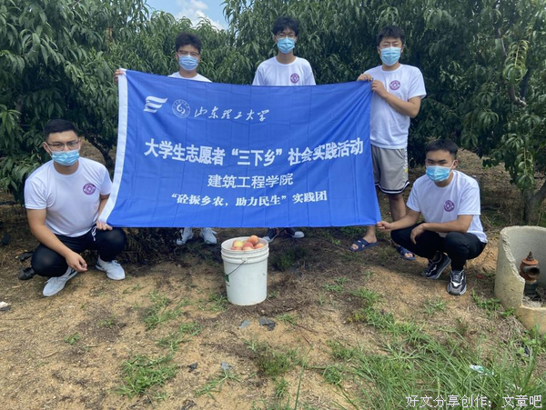 “砼振乡农，助力民生”社会实践团助采助销感受蒙阴蜜桃魅力