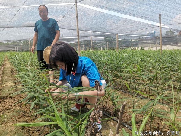 山东学子三下乡：共护生态环境 同助乡村振兴