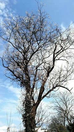 这段日子