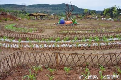 藏不住的幸福感