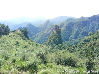补课随想