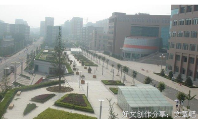 山东学子三下乡：纺织养殖齐头并进 乡村振兴指日可待