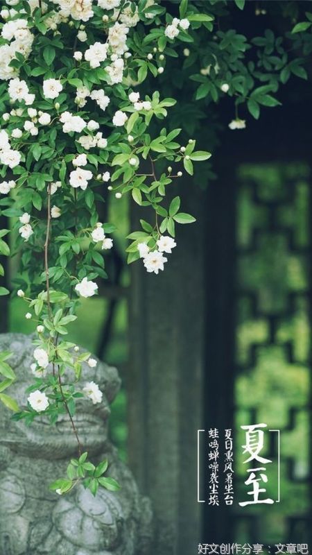 梭鱼曙生