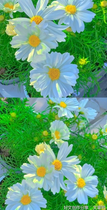 朋友圈文案