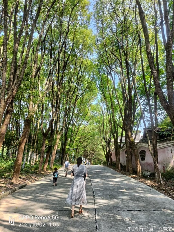 秋天的文案