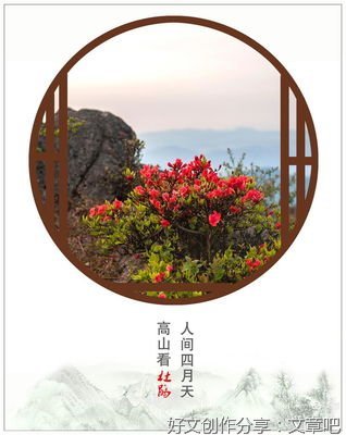 爱常常在细微处绽放