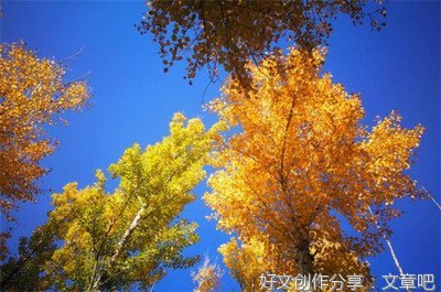 绕过去，天高气清，有何不好？