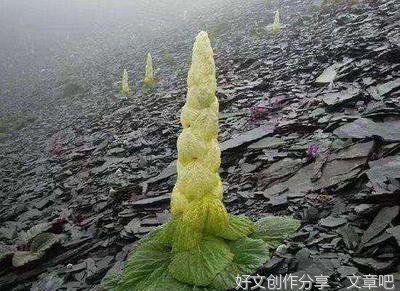 走近了才知道