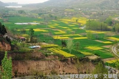 融融的阳光，照在我的心里