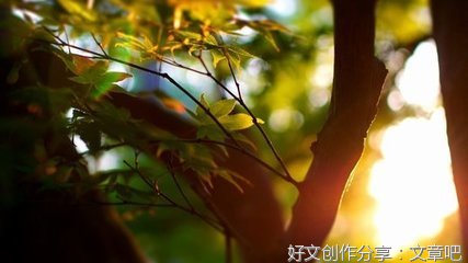 你是我心中的阳光