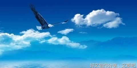 宽容时常在我心中永远闪耀着光芒
