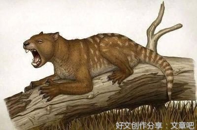 像这样悄悄等待