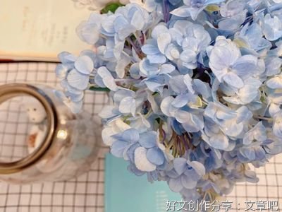 这的确也是一种快乐