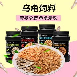 我家有“鬼”（小乌龟）
