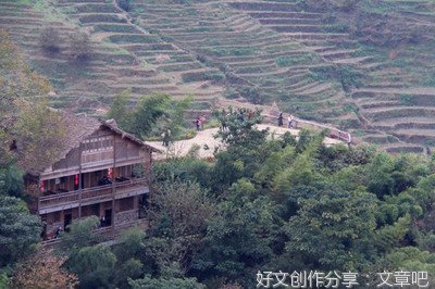 燃烧之美