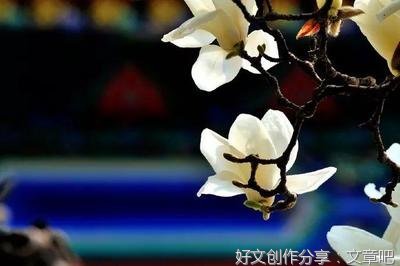 我愿生活在诗歌的年代