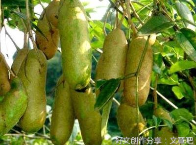 幸福的小时候