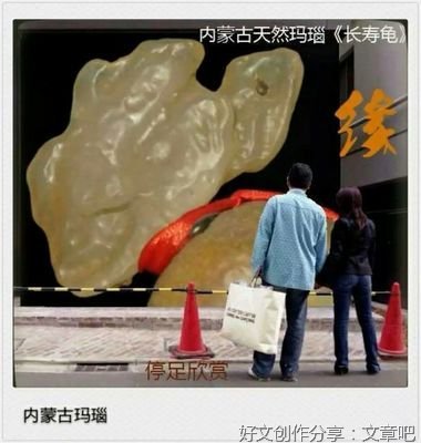 雪木画