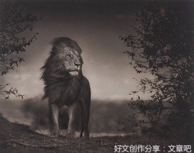 解锢心灵