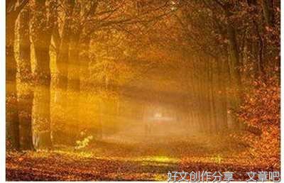 这样的人怎么不让我敬佩