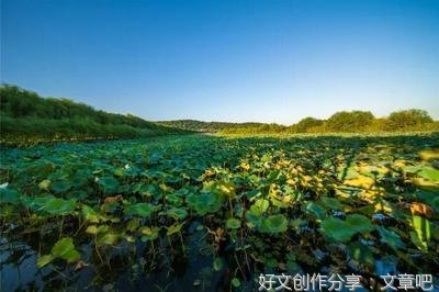 追溯历史的踪迹