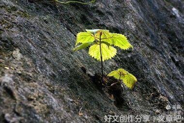 我读懂了生命
