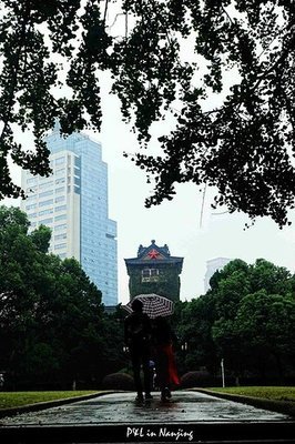 感叹大自然的神奇