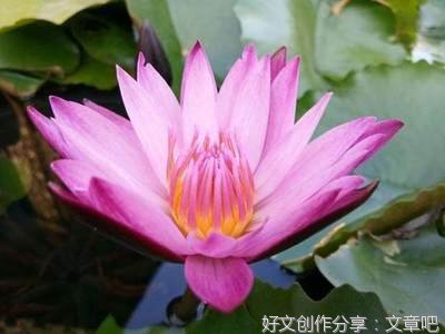 让眼里只有彼岸的终点
