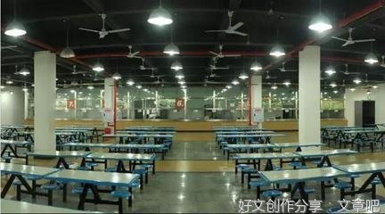 关于学校的记忆